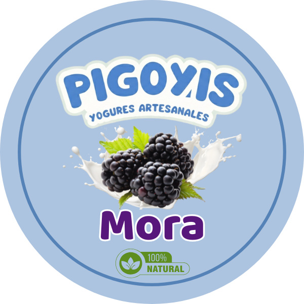 Yogur Pigoyis tradicional sabor Mora